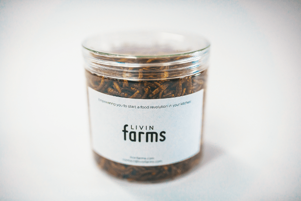 The Livin Farms dried mealworm sample pack. (Courtesy Photo)