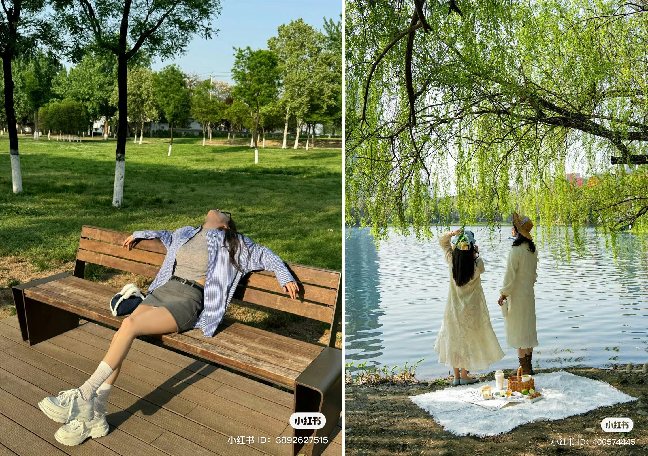 Chinese youth are finding peace in parks. Image: Xiaohongshu
