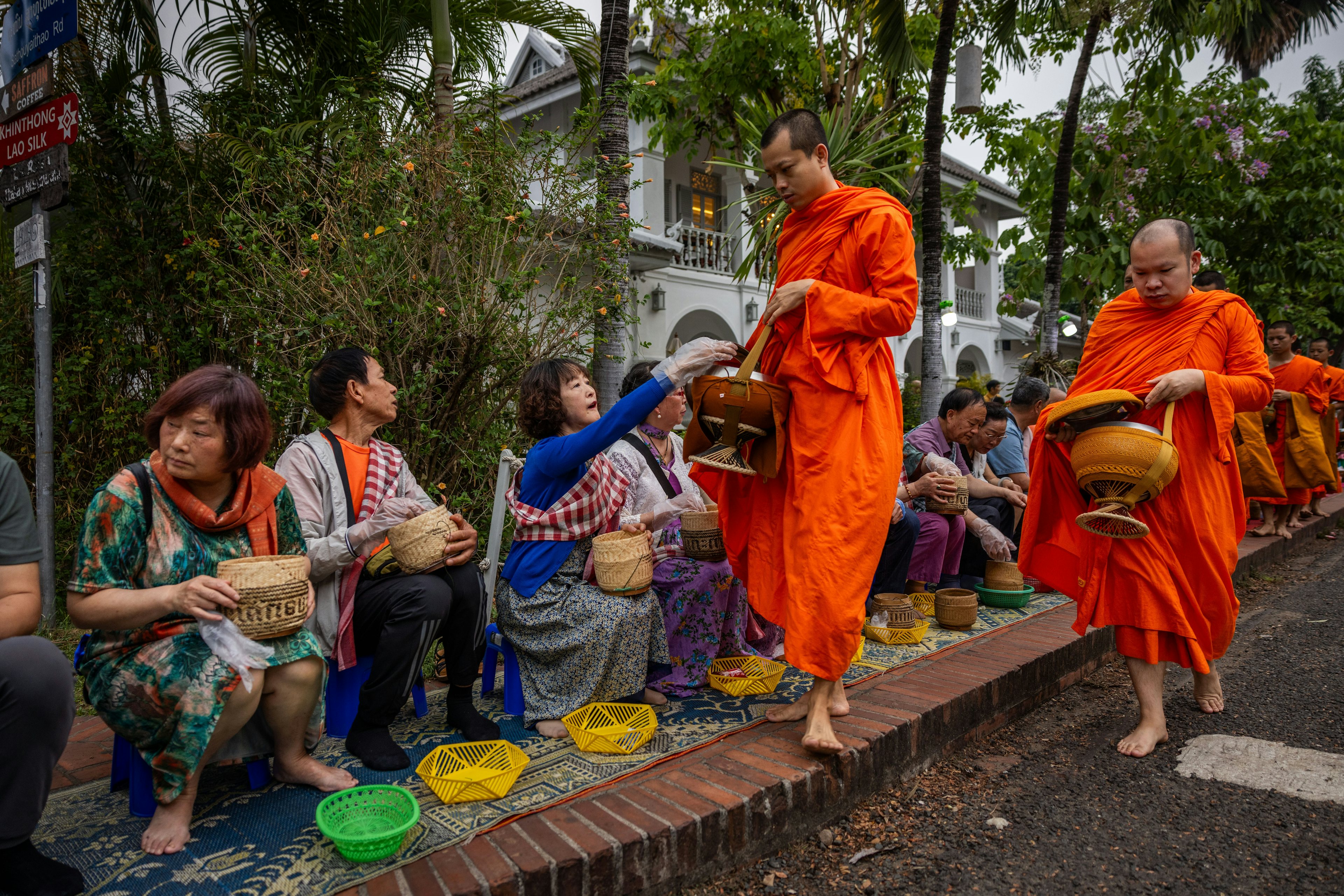 Chinese tourists take part in an alms giving ceremony with Buddhist monks on April 11, 2024 in Luang Prabang, Laos. Photo: Getty Images