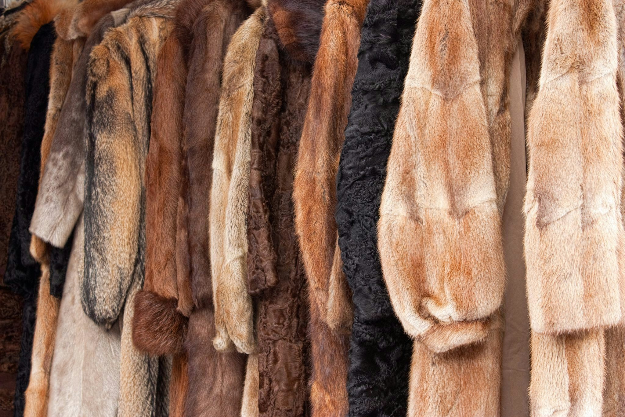 Fur Faces Opposition in Chinese Fashion Industry