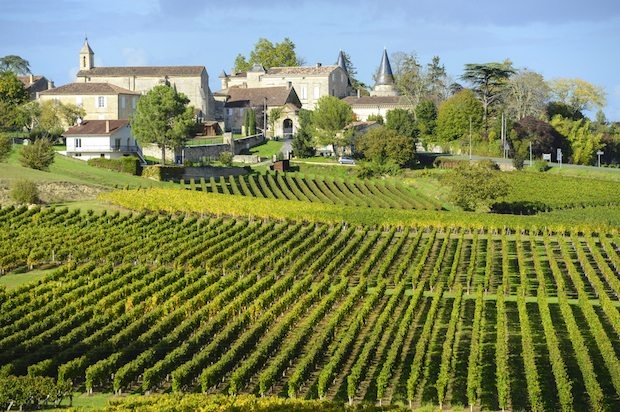 Chinese investors have only begun to snap up Bordeaux vineyards. (Shutterstock)