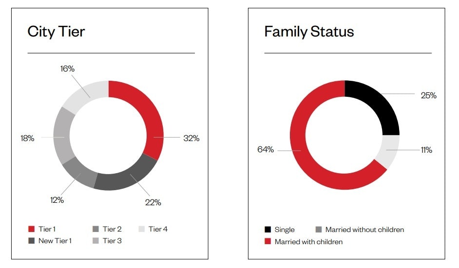 A breakdown of Chinese male luxury shoppers by city tier and family status.