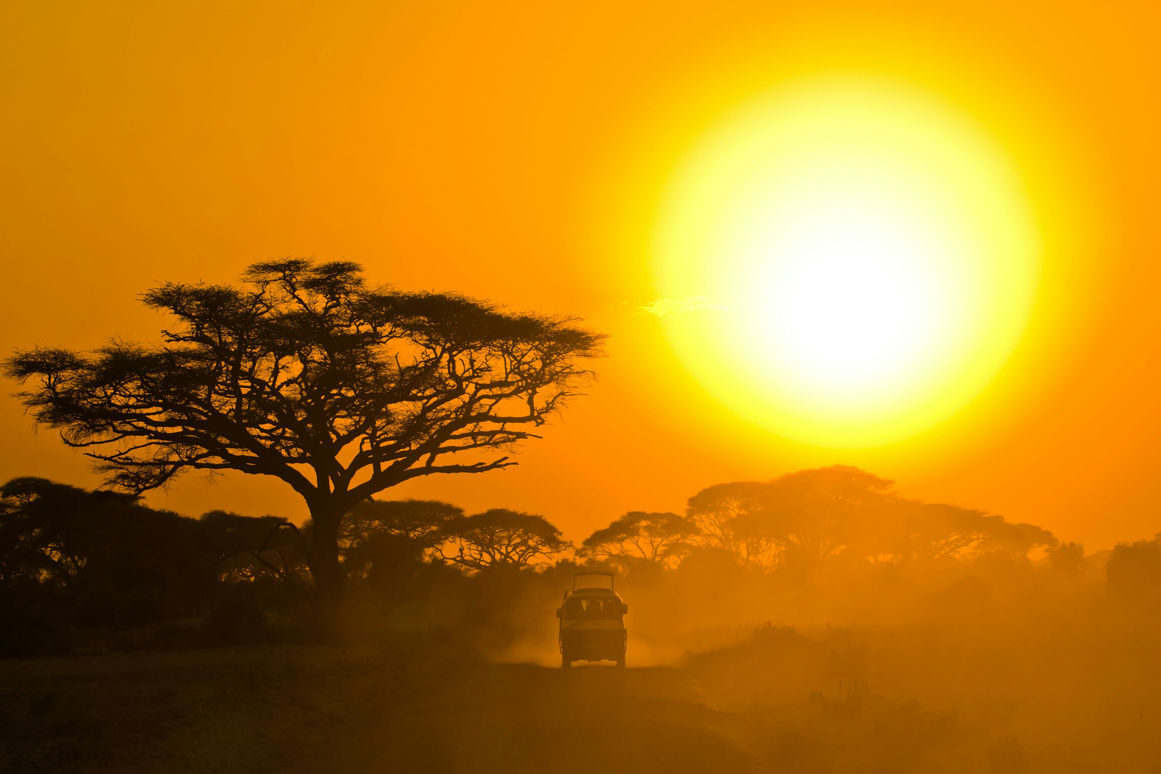 Chinese luxury travelers are increasingly interested in experiences such as safaris, according to the results of a new survey. (<a href="http://www.shutterstock.com">Shutterstock</a>)