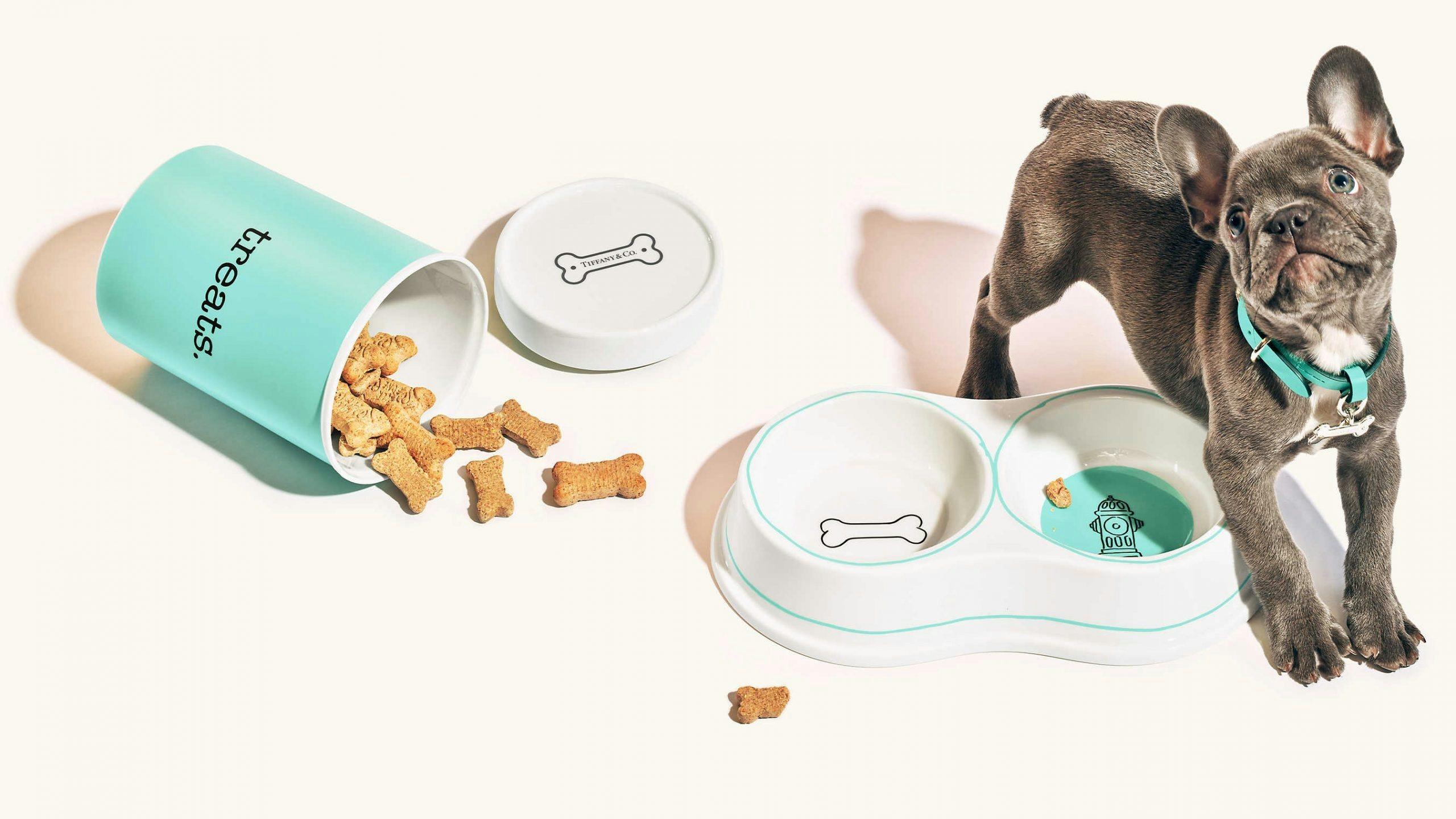 Pet fashion sales have been booming in China, and luxury brands need to be ready to take full advantage of this trend. Photo: Courtesy of Tiffany & Co.