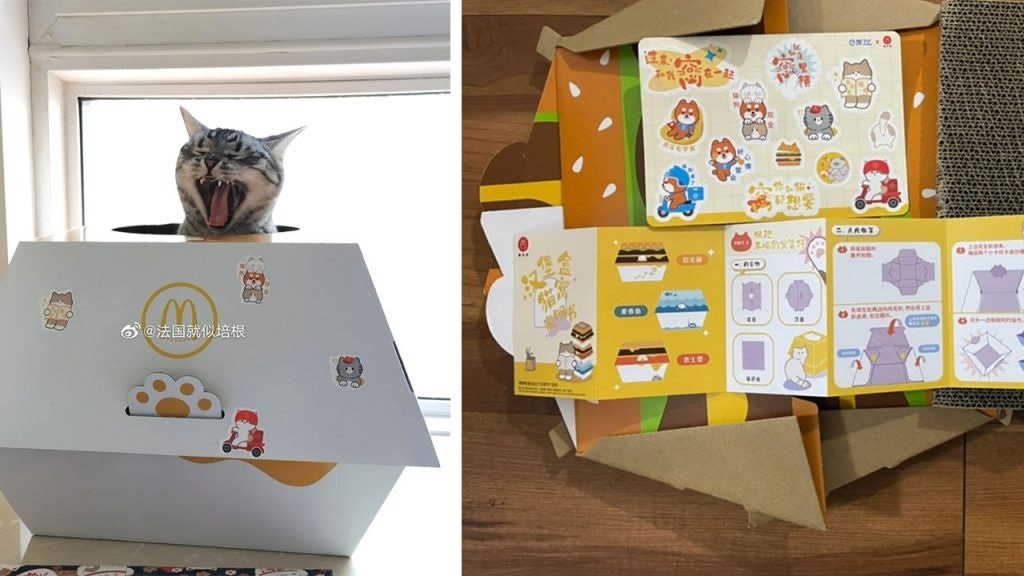 McDonald's new combo meal in China comes with a foldable box for cats. Photo: Weibo