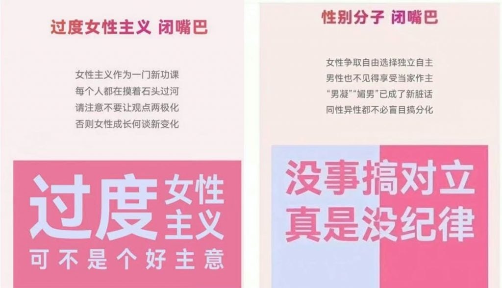 In a now-deleted WeChat post, Maia Active called for radical feminism to "shut up." Photo: Maia Active