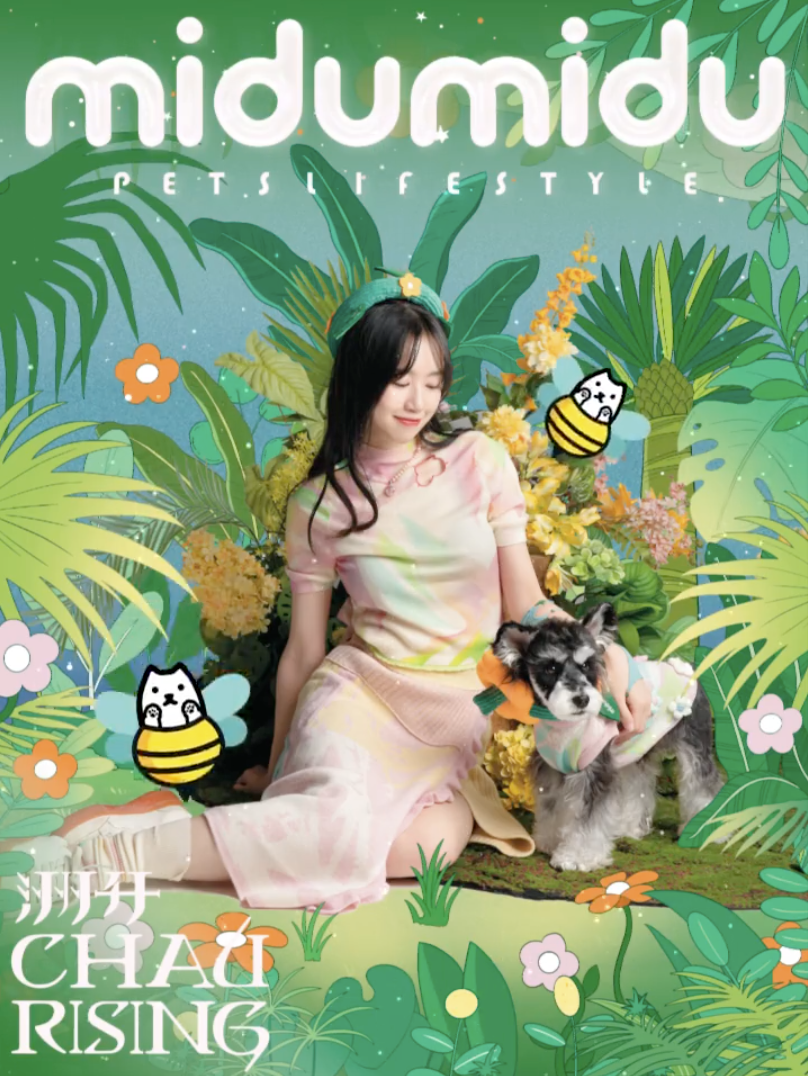 Chau Rising has officially entered China's glamorous pet economy via a collaboration with Midu Midu. Photo: Chau Rising Weibo