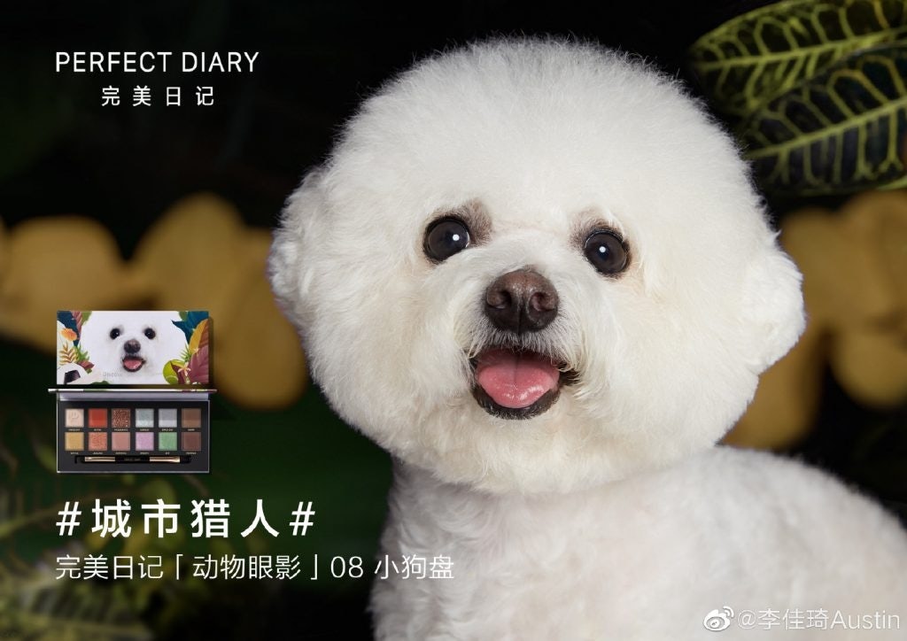 Perfect Diary features Li Jiaqi's puppy Never on its eyeshadow palette. Photo: Li Jiaqi's Weibo