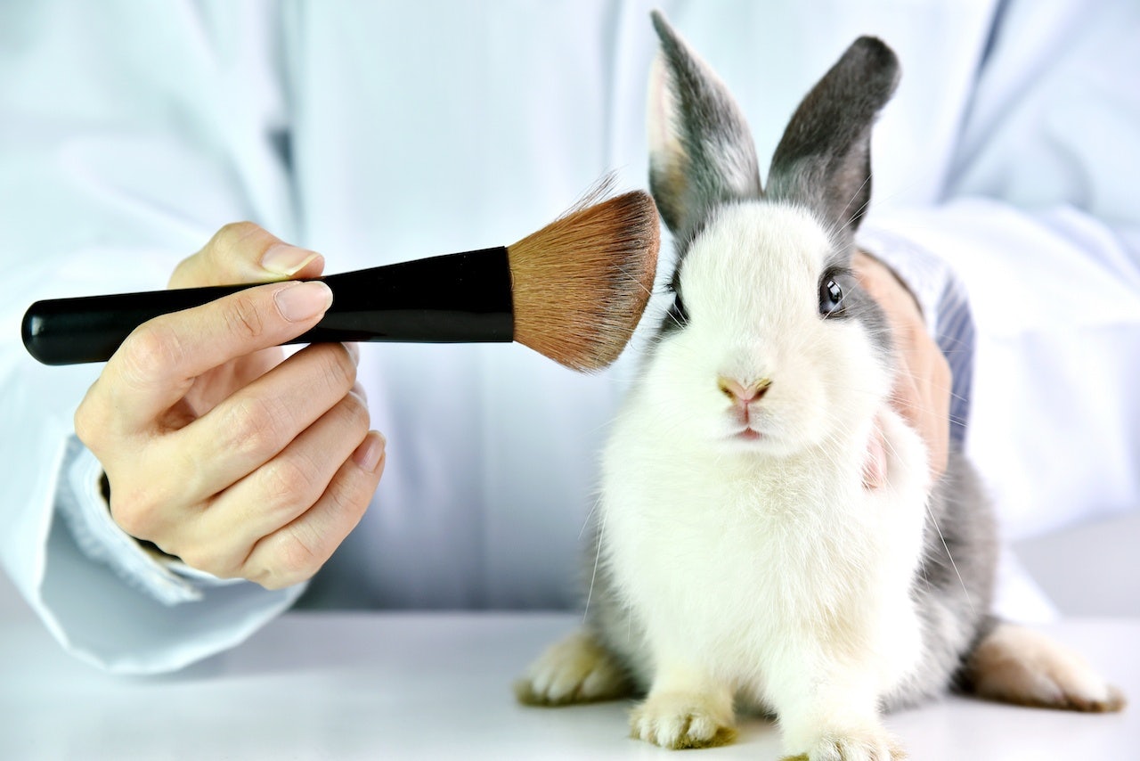 We review the latest on China's animal testing requirements and where the road ahead lies. Photo: shutterstock.com