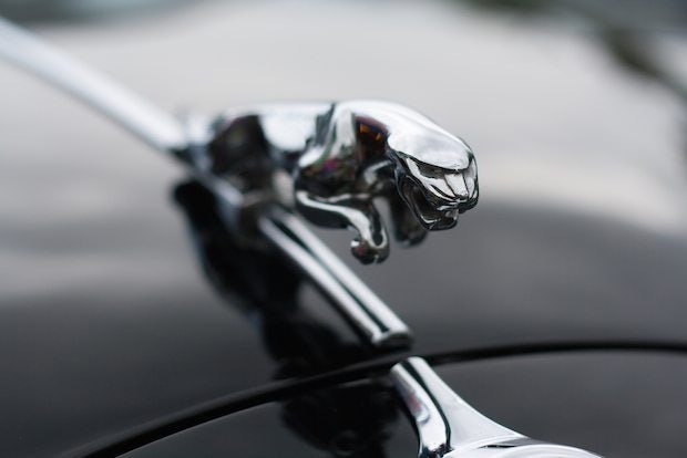 Tmall shoppers may soon be able to buy a Jaguar online thanks to Alibaba's new deal with Yongda Auto (Shutterstock)