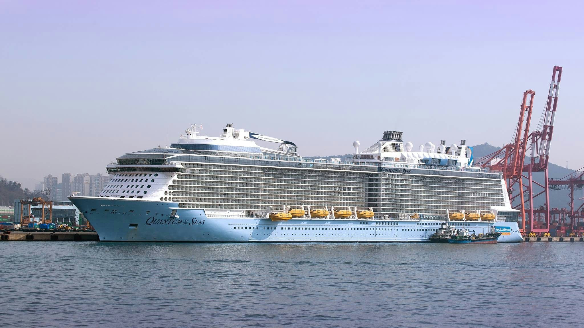 The Shanghai based, Royal Caribbean cruise ship Quantum of the Seas in Busan, South Korea. Royal Caribbean is increasing its efforts in China with the construction of a new cruise ship but has virtually eliminated itineraries that include South Korea. Photo: Shutterstock