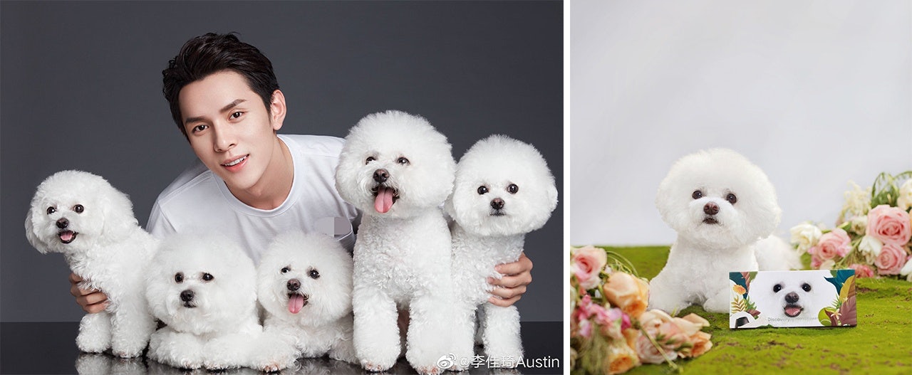 Left: Li Jiaqi and his pet family. Right: Never's Family x Perfect Diary. Photo: Weibo