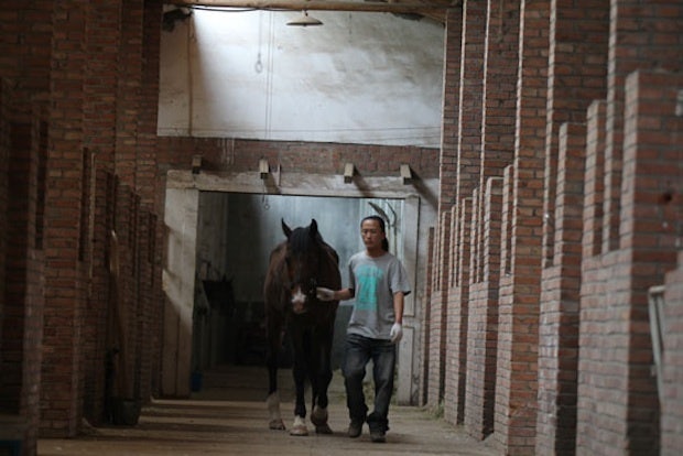 As of 2010, despite the growing popularity of horse riding, most of Beijing's clubs operated at a loss (Image: China Daily)