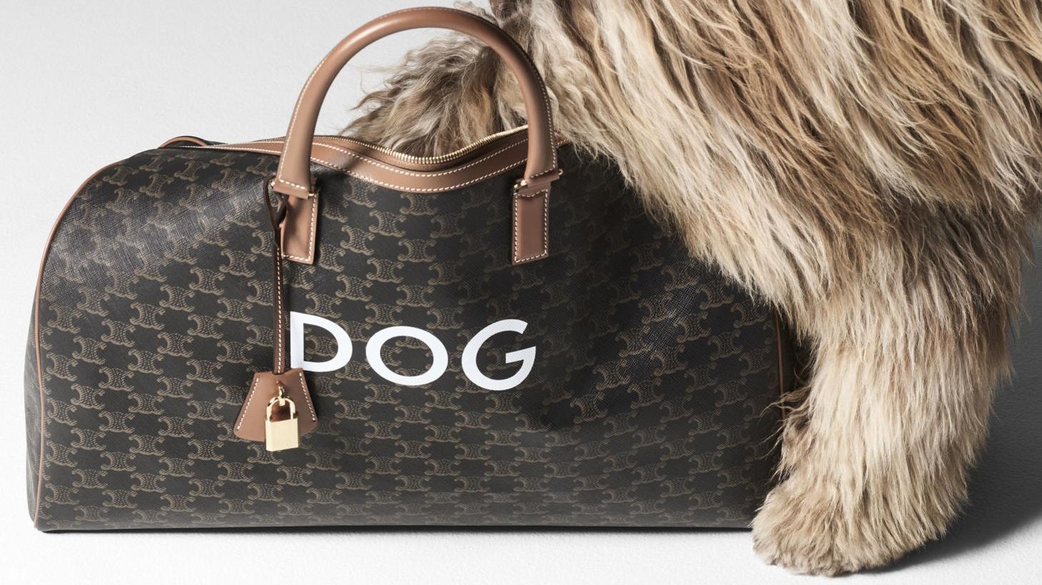 Tommy Hilfiger and Celine are the latest names to launch pet accessories lines. How lucrative is the domestic “chongwu” economy? Photo: Celine