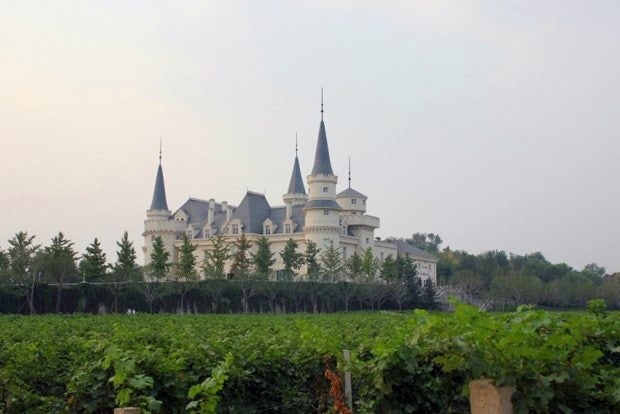 China's largest winemaker Changyu has seen falling profits as demand for red wine falls across the country. (Changyu)