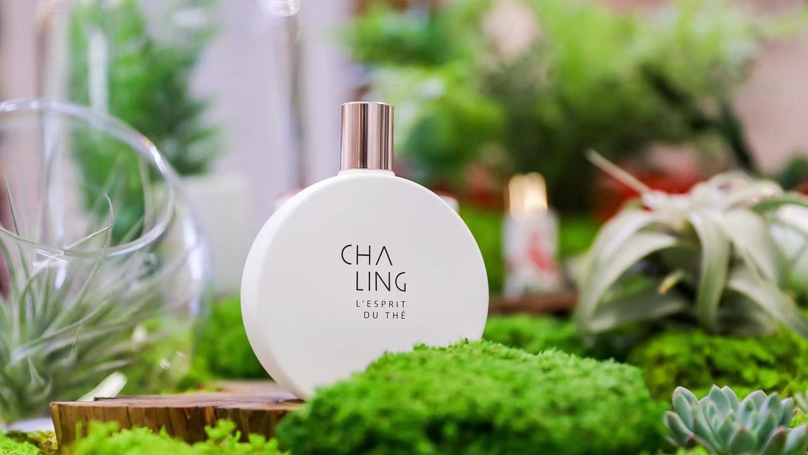 The shuttering of LVMH’s Chinese tea beauty brand Cha Ling's physical doors and official WeChat store is cited as part of its new business strategy. But will China ever want faux ‘Guochao’ brands? Photo: Cha Ling