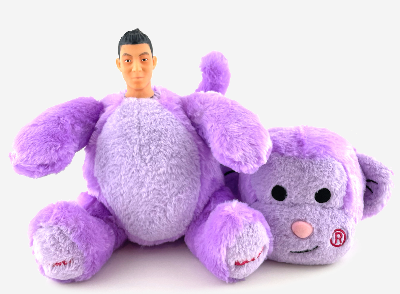 The tongue-in-cheek collectibles resemble Edison Chen dressed up as a plush toy. Photo: Objective Collectibles