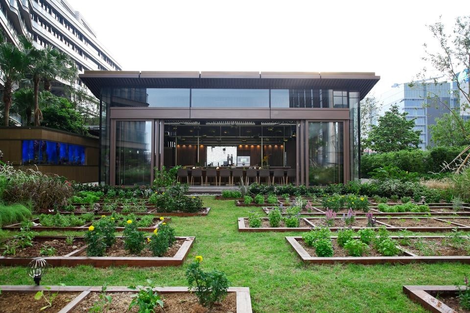 In addition to meeting green building certifications, the K11 MUSEA in Hong Kong also has a sustainability-themed education park. Photo: K11