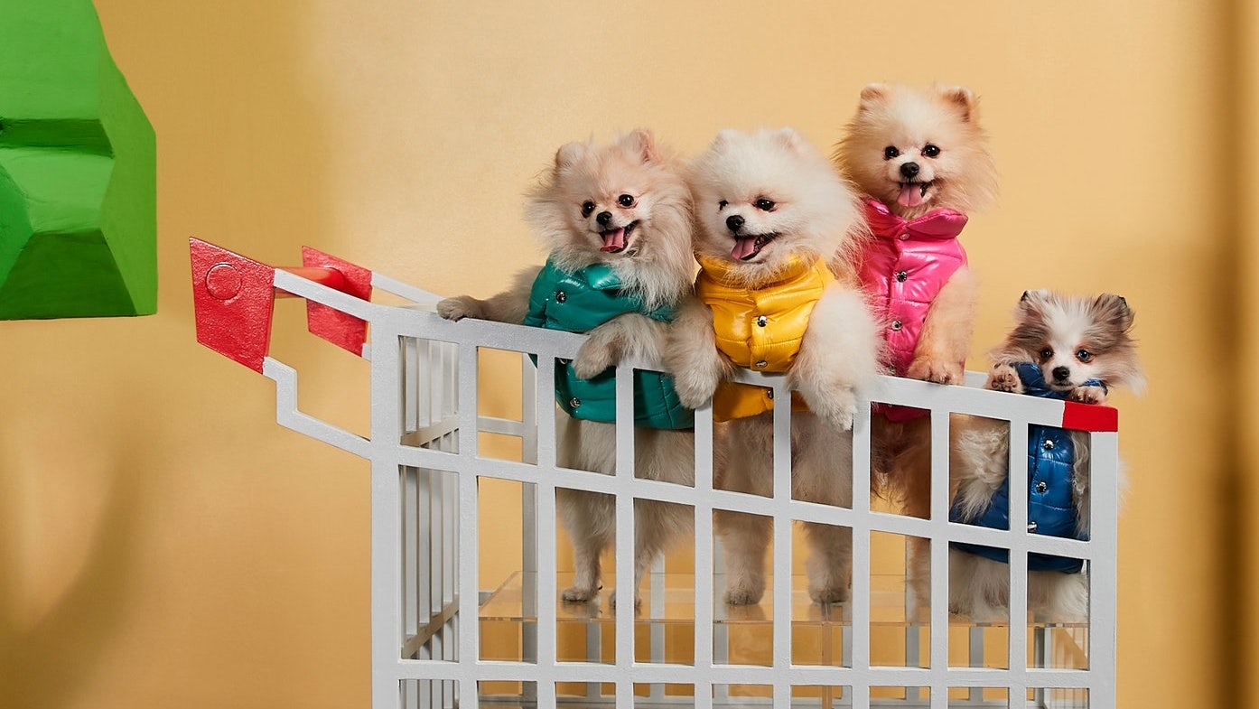 The domestic pet market is booming, and Jing Daily suggests three strategies for luxury brands to win over young pet parents. Photo: Courtesy of Moncler x Poldo Dog Couture