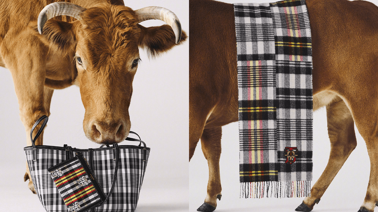 Burberry chinese sales new year scarf